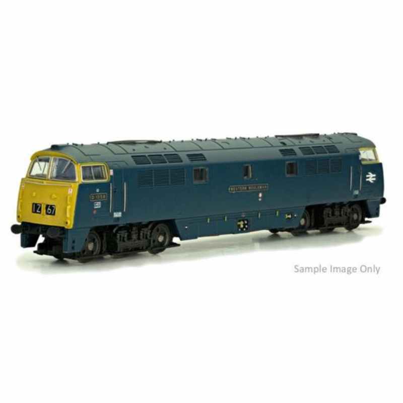 Dapol N Gauge Class 52 D1043 Western Duke BR Chromatic Blue